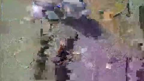 Corrado online show from 12.23.25