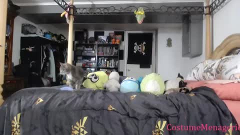 Snapshot of costumemenagerie chatting on 03.26.26 Amethyst Cox online show from 03.26.26
