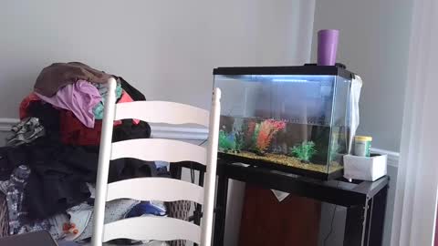 Fallen Angel 21 online show from 03.04.25