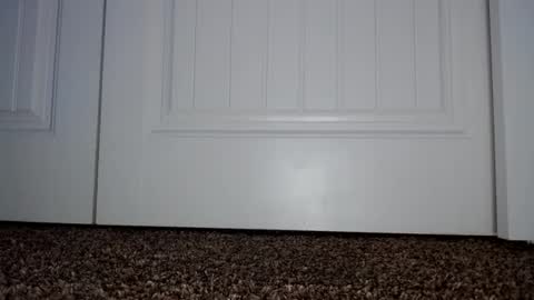 Snapshot of couple049 chatting on 01.02.25 Couple049 online show from 01.02.25