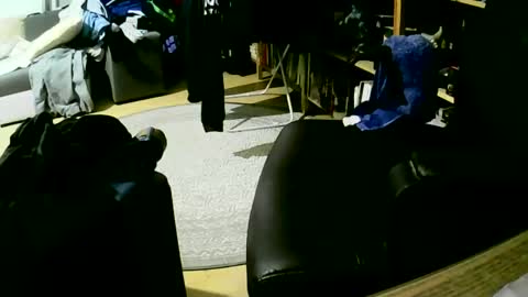 coyote017 online show from 01.27.25