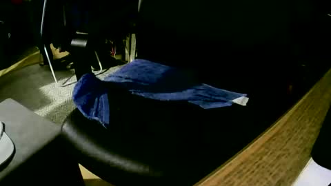 coyote017 online show from 02.09.25