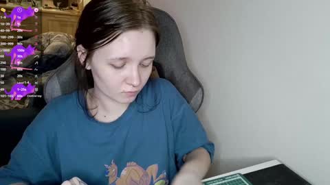 crash_test13 online show from 12.27.24