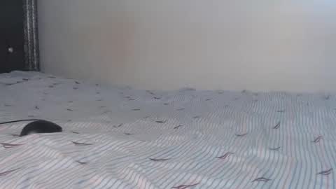 Snapshot of creamybabes0 chatting on 01.06.26 creamybabes0 online show from 01.06.26