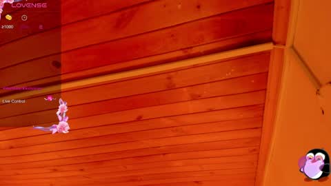 Cristal online show from 04.05.26