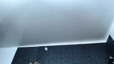 Hanna  online show from 12.17.24