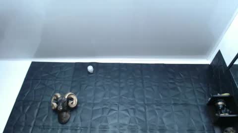 Hanna  online show from 02.13.25