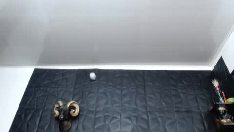 Hanna  online show from 02.26.26