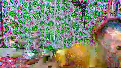 cristine316 online show from 02.25.25