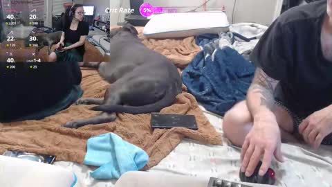 Snapshot of crownandkat chatting on 03.02.26 Crownandkat online show from 03.02.26