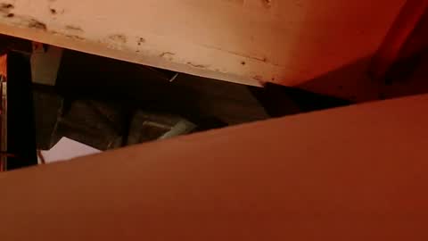 cryan96 online show from 02.04.25