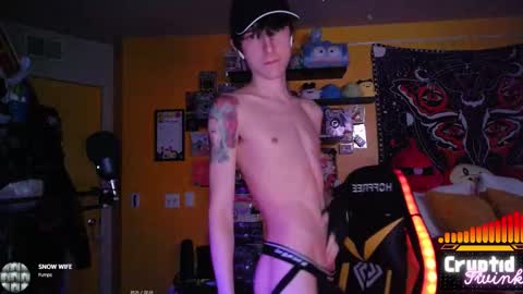 Snapshot of cryptidtwink chatting on 02.19.26 CryptidTwink online show from 02.19.26