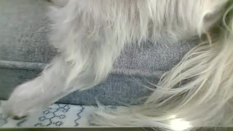 Snapshot of cumfestlover chatting on 09.14.25 cumfestlover online show from 09.14.25