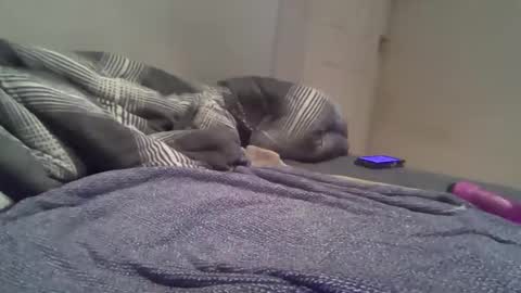 Snapshot of cummbumm69 chatting on 02.14.26 cummbumm69 online show from 02.14.26