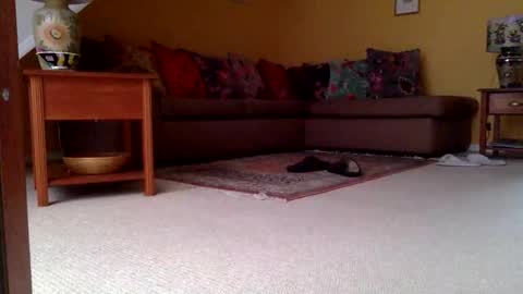 cumonherguys online show from 11.06.25