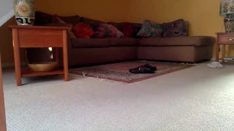 cumonherguys online show from 11.17.25