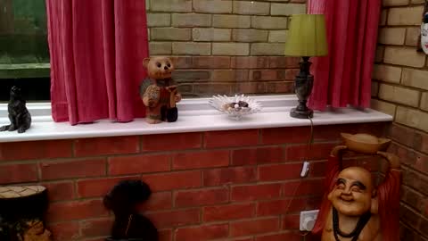cumonherguys online show from 06.04.26