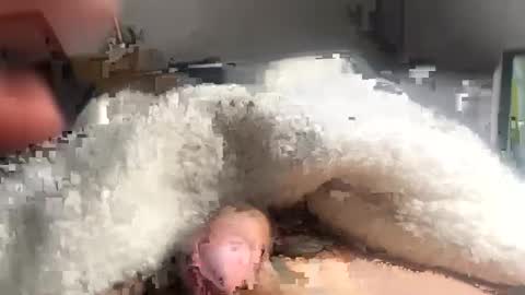 cumonmyf33t online show from 02.22.25