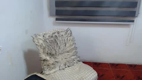 Xyrien online show from 01.10.26