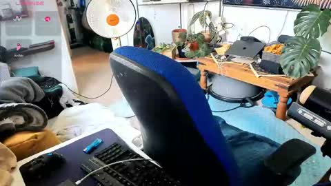 curiousgenie online show from 03.30.26