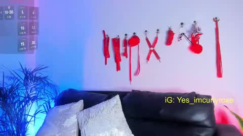 Rose online show from 11.24.25