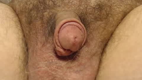 Snapshot of curve66 chatting on 02.06.25 curve66 online show from 02.06.25