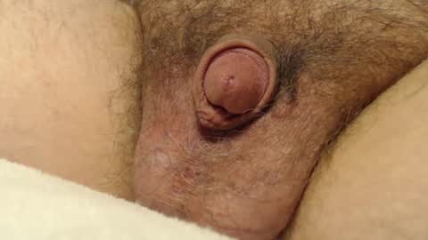 Snapshot of curve66 chatting on 12.04.25 curve66 online show from 12.04.25