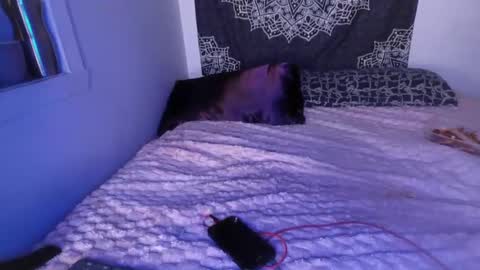 Cline  online show from 03.02.25