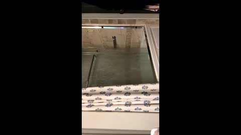 Snapshot of curvyd454066 chatting on 09.26.25 curvyd454066 online show from 09.26.25