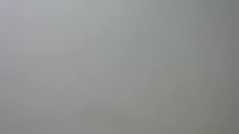 Snapshot of curvylizy chatting on 06.24.26 liz online show from 06.24.26