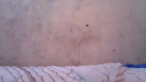 Snapshot of cute_divah4 chatting on 06.12.26 cute_divah4 online show from 06.12.26