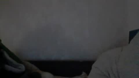 cutekattie online show from 12.09.24