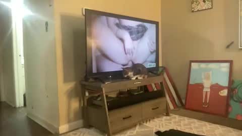 CuteUwUboytoy online show from 03.18.26