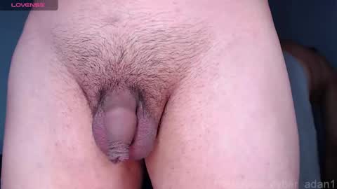 cyber online show from 01.16.25