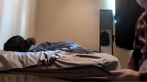 da_man411212 online show from 02.19.26