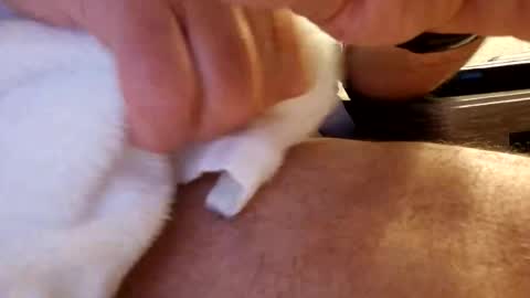 Snapshot of daaavy11 chatting on 02.19.26 daaavy11 online show from 02.19.26