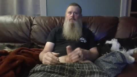 dachshund01 online show from 10.13.25