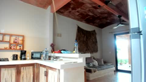 Belle  Email daddydaycarecb  online show from 03.11.25