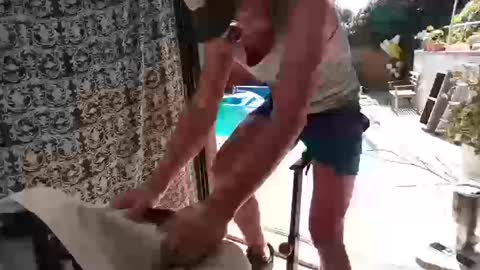 bas online show from 10.10.25