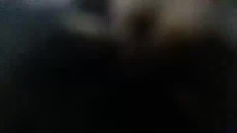 DDick online show from 10.12.25