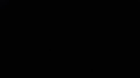 DDick online show from 11.29.25