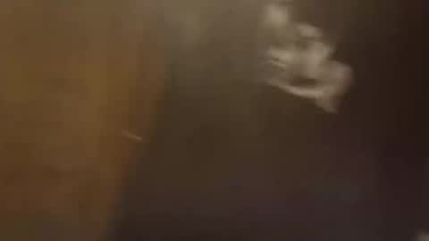 dadpervmind online show from 02.22.26