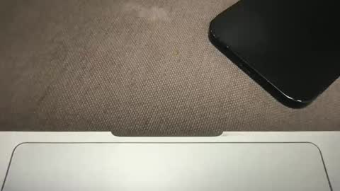 D online show from 03.24.26