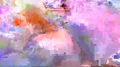 Snapshot of dafo1980 chatting on 04.20.26 dafo1980 online show from 04.20.26
