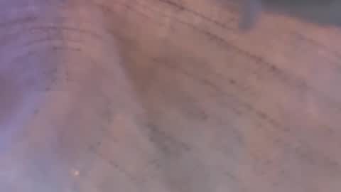 Daisy137 online show from 03.08.26