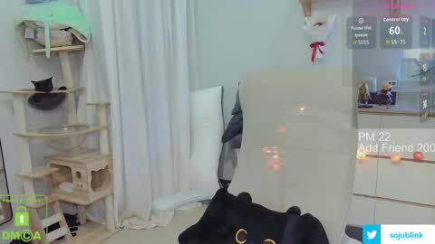 Daisy online show from 03.24.26