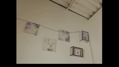 Daisy online show from 02.10.25