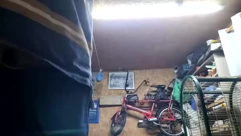 dave online show from 12.07.24