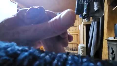 dave online show from 10.24.25