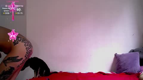 Snapshot of dakota_and_aron chatting on 12.05.24 Dakota and Aron online show from 12.05.24